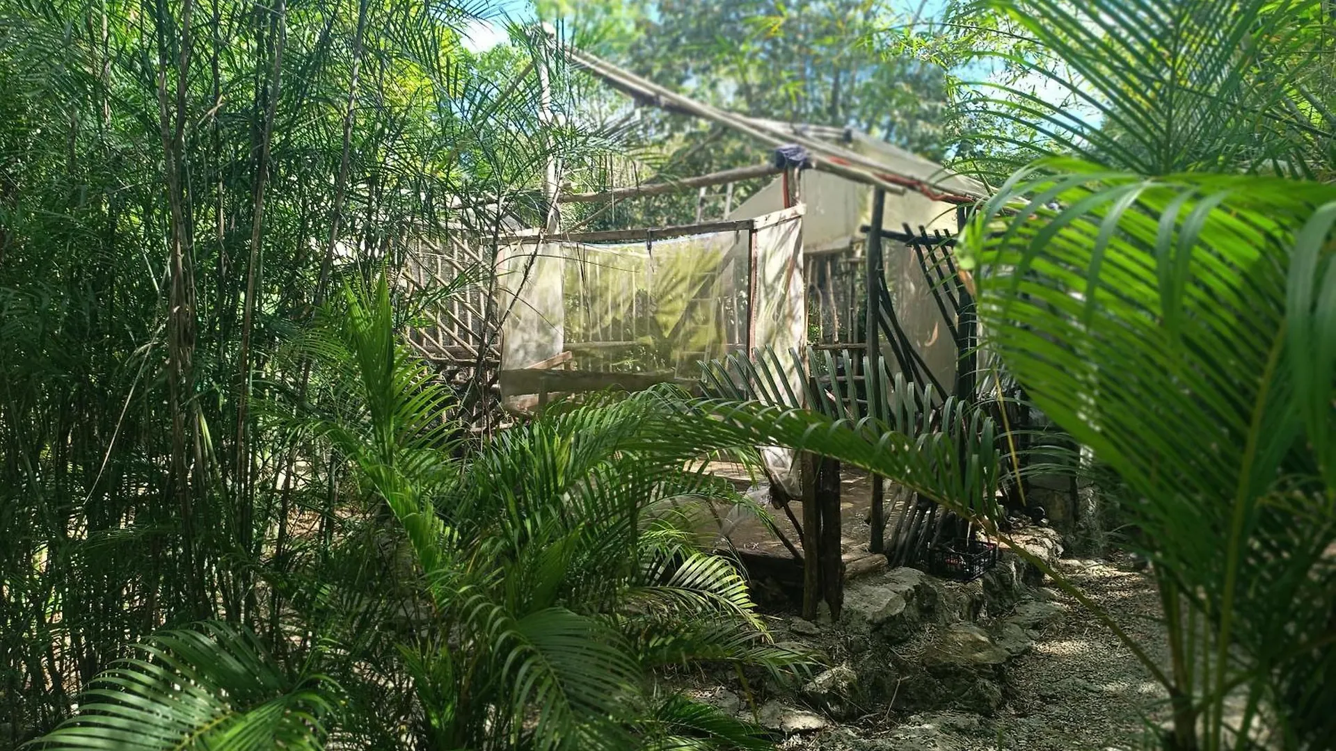 Campsite Space For Your Tent Tulum