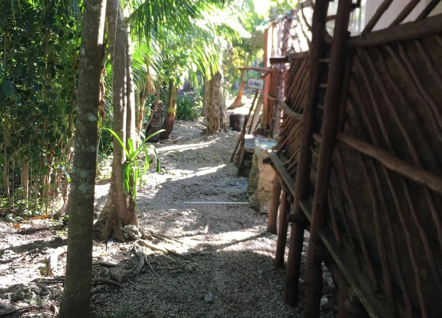 Campsite Space For Your Tent Tulum