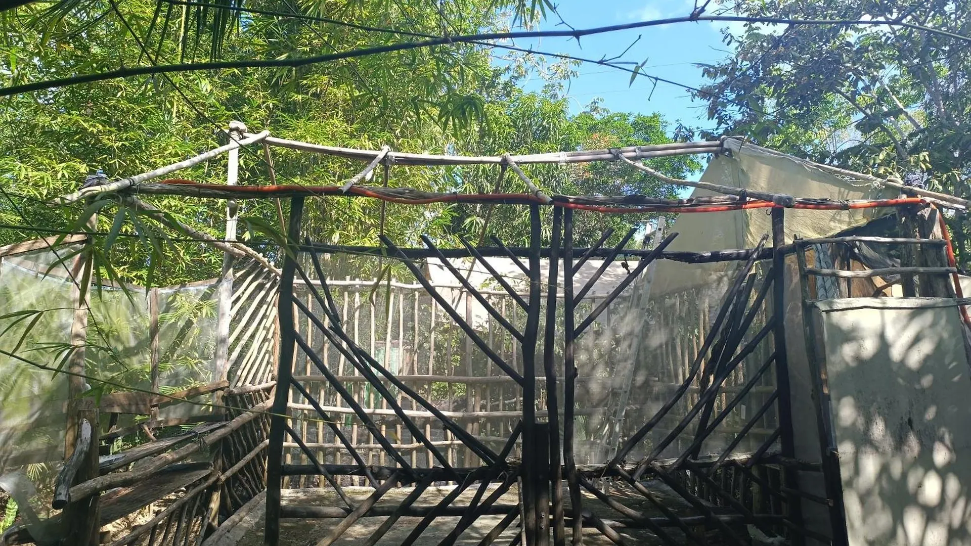 Space For Your Tent Tulum Campsite